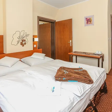 Saga * Władysławowo