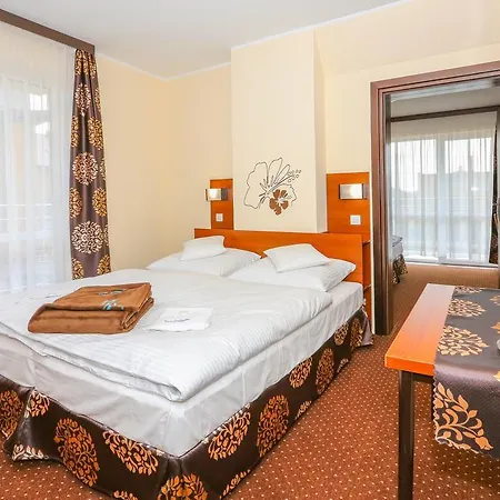 Saga Séjour chez l'habitant