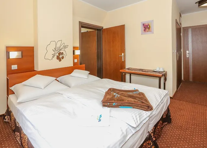 Saga * Władysławowo