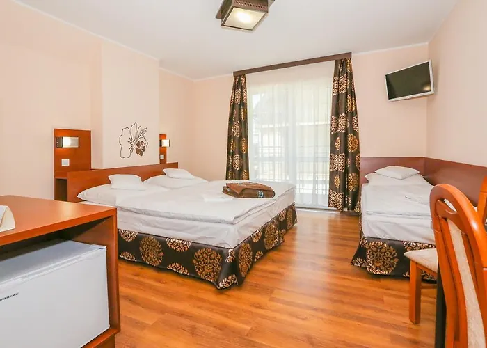 Saga * Władysławowo